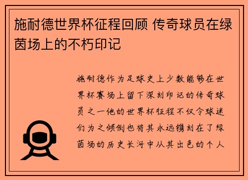 施耐德世界杯征程回顾 传奇球员在绿茵场上的不朽印记 施耐德世界杯征程回顾 传奇球员在绿茵场上的不朽印记